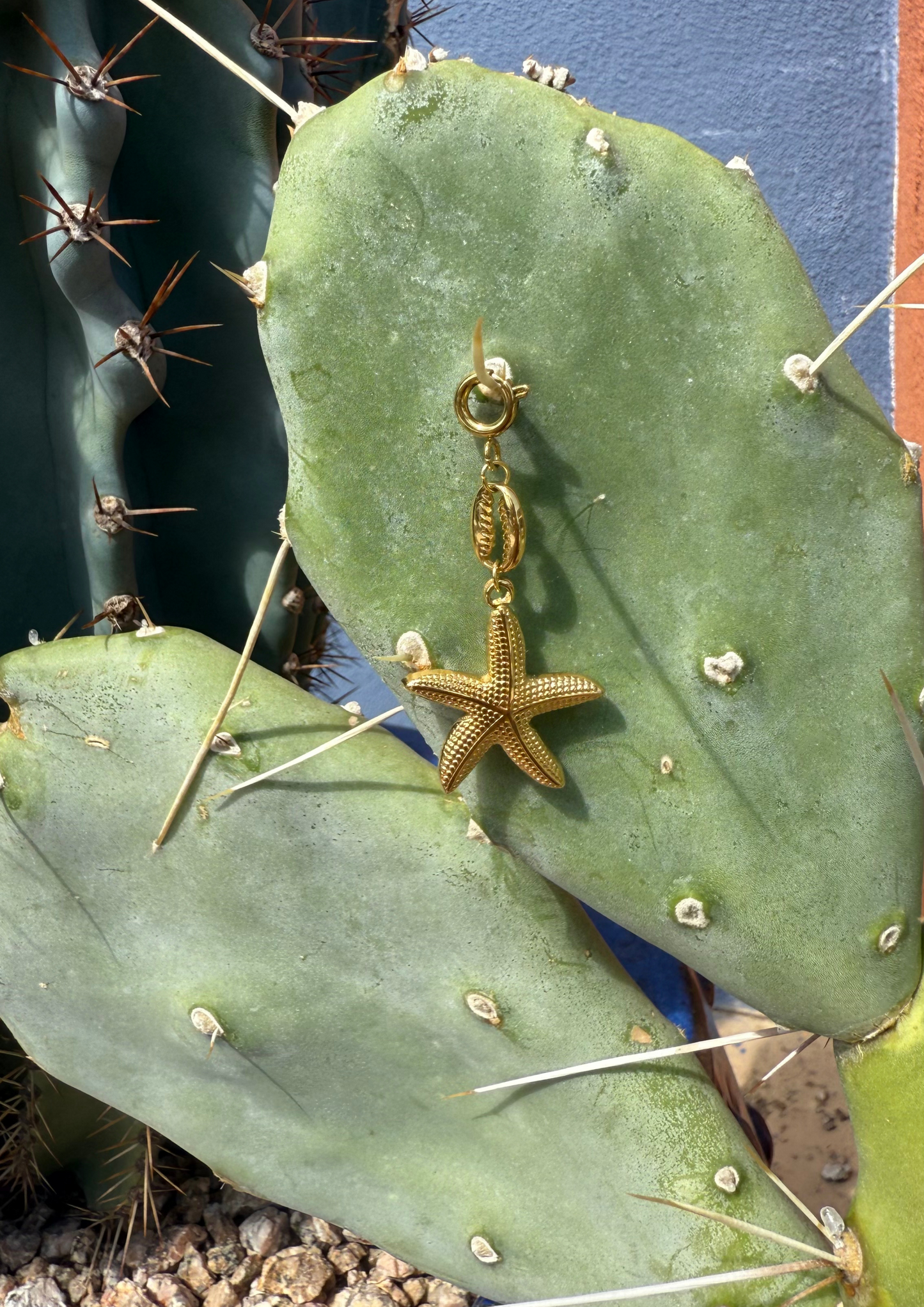 Starfish Wishes Charm
